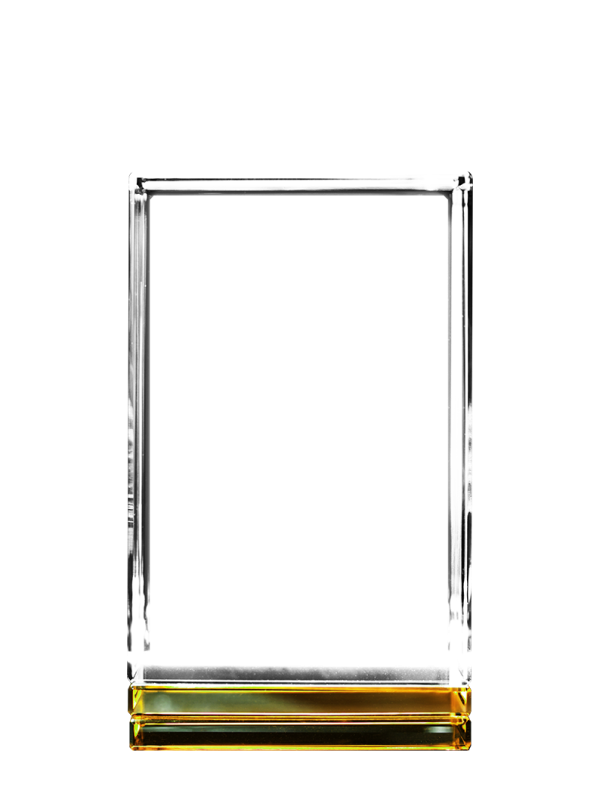 Amber 3D Crystal Skirt Portrait